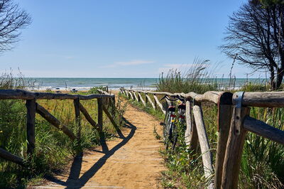 Promenades sur la plage autour de Bibione