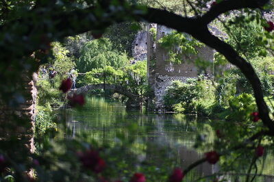 Vue sur l'étang de Ninfa