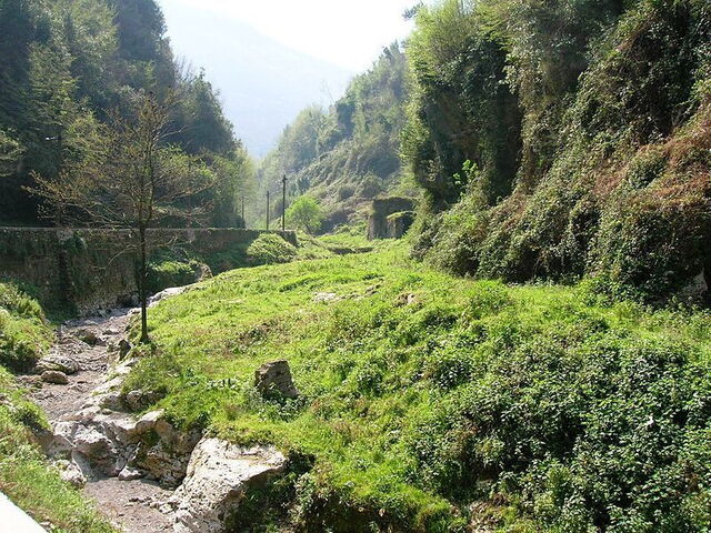 Vallée des Moulins, verdure