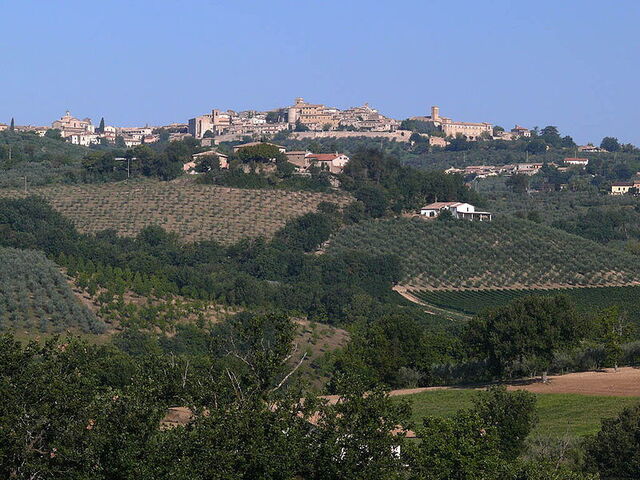 Vue sur Montefalco