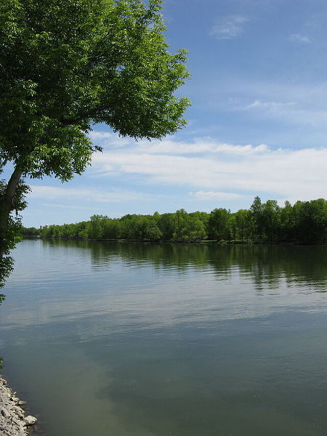 Une rivière au flot calme