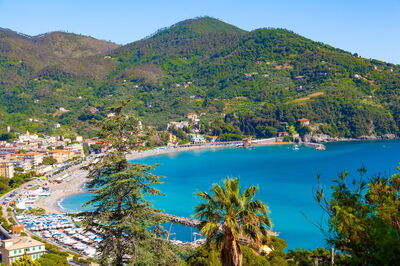 levanto