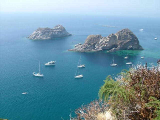 Vue sur Palmarola