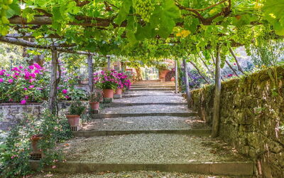 Jardins du Palazzo Rosadi