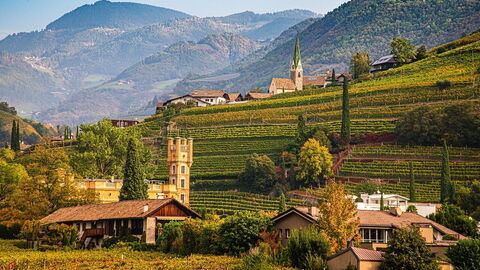 Vignoble de Bolzano en automne