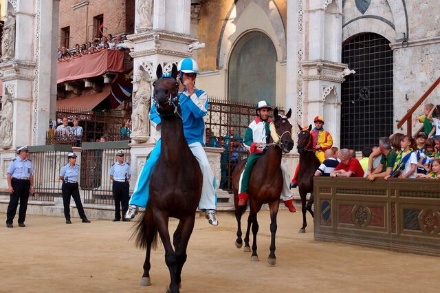 Chevaux au Palio di Siena