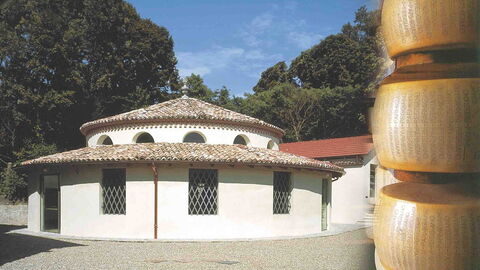 musée du parmesan