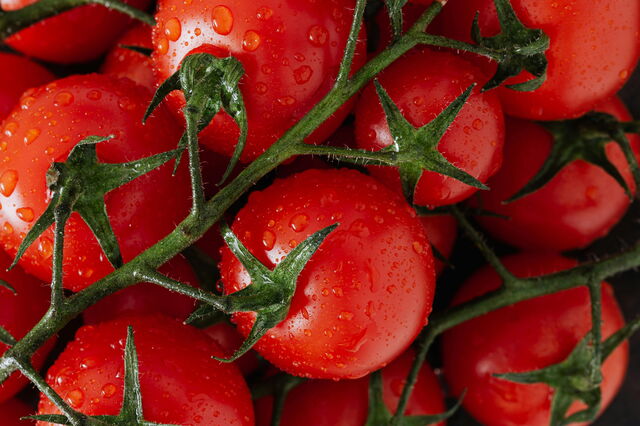 tomates