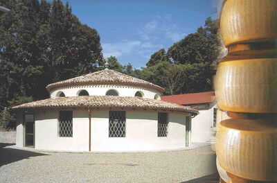 musée du parmesan