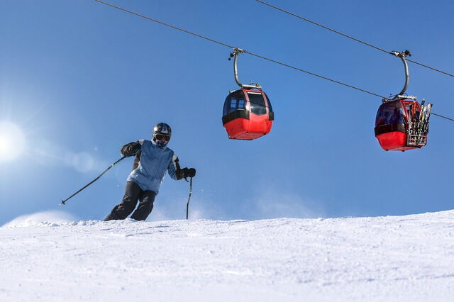 skier