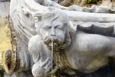 Fontaine des grenouilles, détail