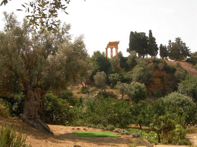 kolymbetra