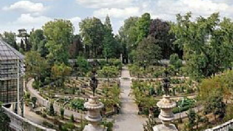Les jardins botaniques de Padoue