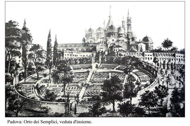 Un dessin des jardins botaniques au XVIème siècle