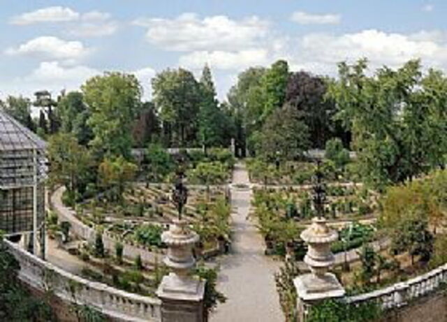 Les jardins botaniques de Padoue