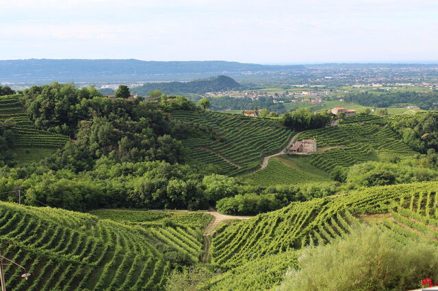 Paysages autour de Trévise