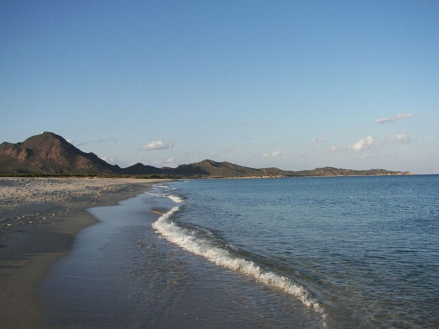 Costa Rei, brin