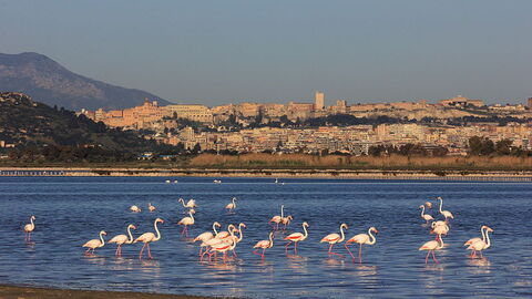 Vue sur la côte de Cagliari