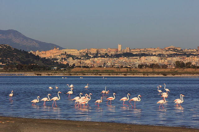 Vue sur la côte de Cagliari