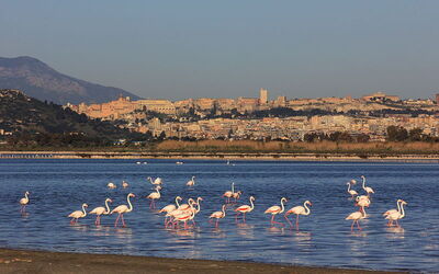 Vue sur la côte de Cagliari