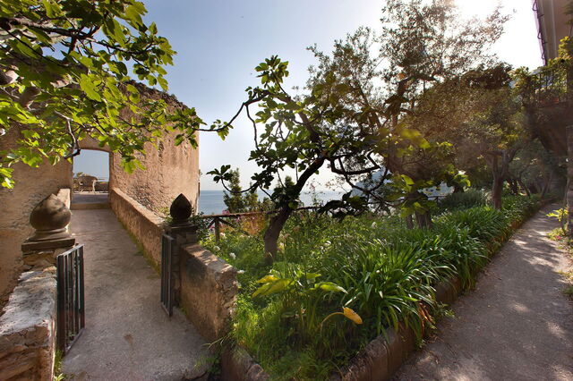 jardins de Mansour