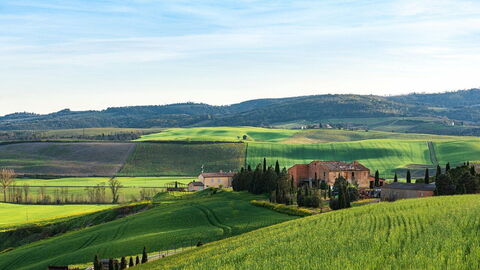 Vue sur les champs et les collines en Toscane