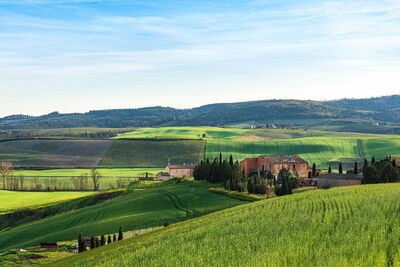 Vue sur les champs et les collines en Toscane