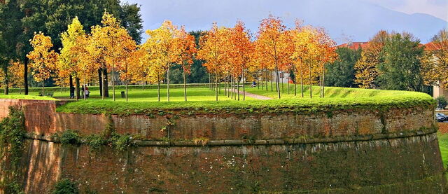 Les murs de la cité de Lucques