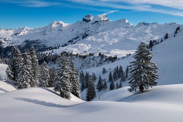 Scènes alpines
