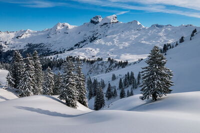 Scènes alpines
