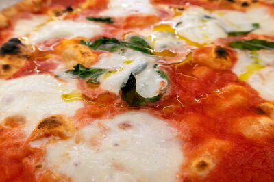 margherita