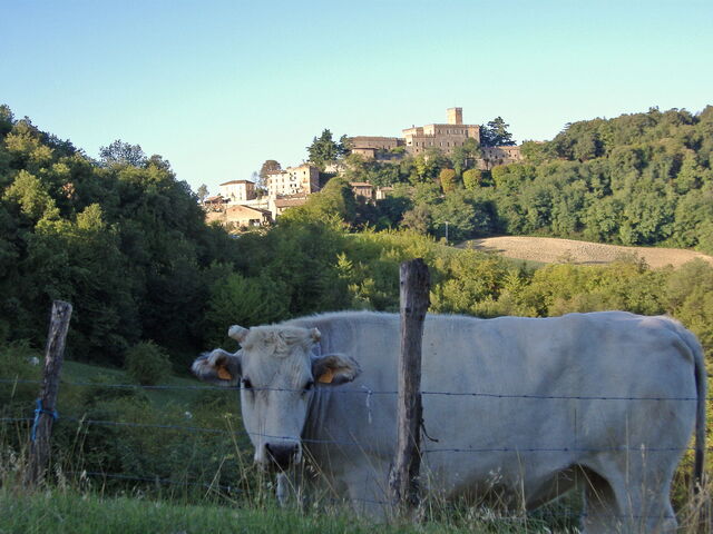 Les thermes de Tabiano