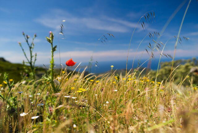 Vues en Sardaigne