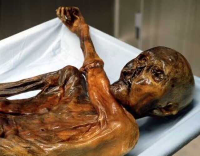 La momie d'Otzi, l'homme de glace