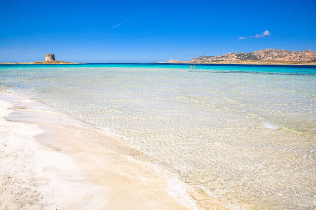Sables de Spiaggia La Pelosa