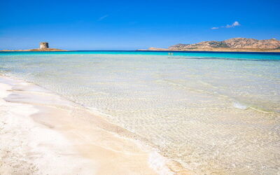 Sables de Spiaggia La Pelosa