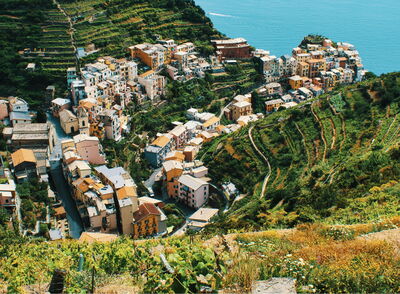 vignobles des Cinque Terre