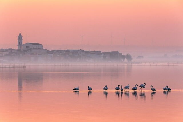 Lac Lesina