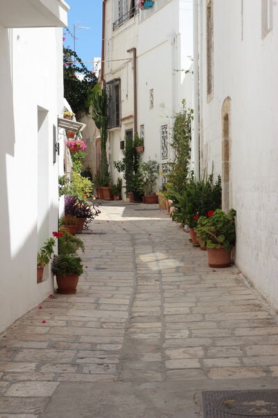 allée d'ostuni
