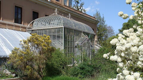 Jardin botanique de Rome