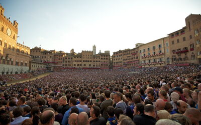 Le palio
