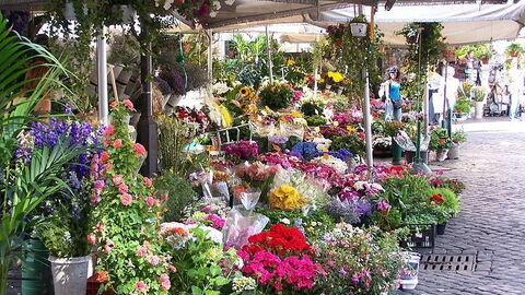 Les fleurs, Campo de' Fiori