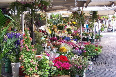 Les fleurs, Campo de' Fiori