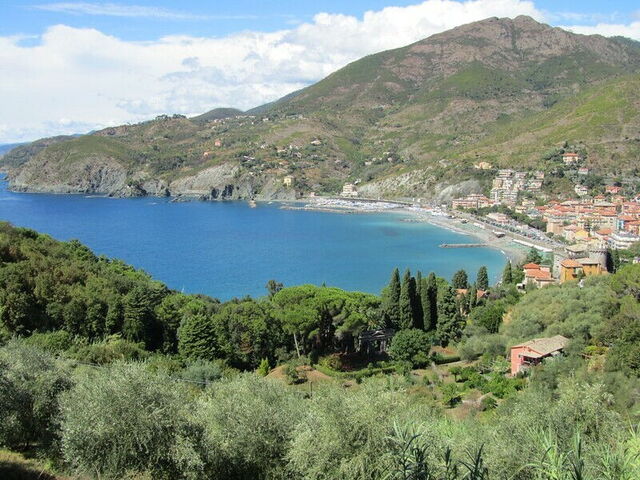 levanto