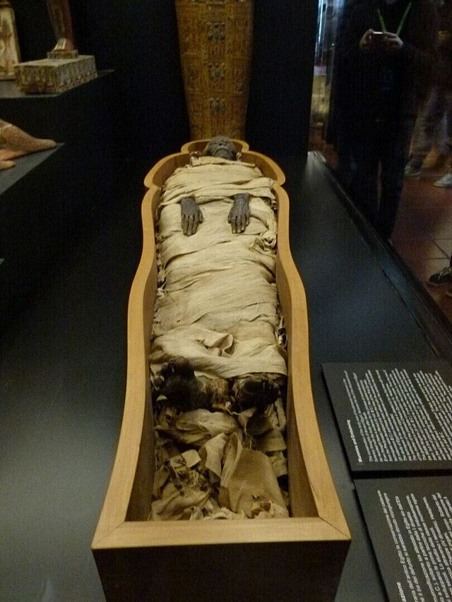 Une momie au Musée égyptien