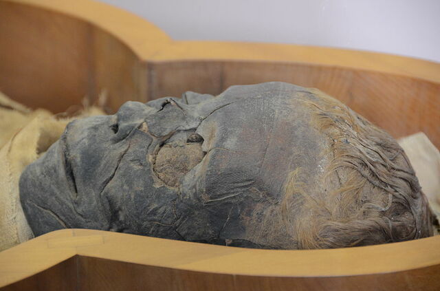 Momie masculine, Musée du Vatican