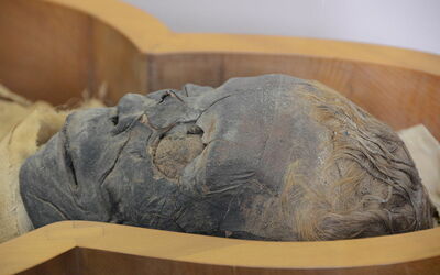 Momie masculine, Musée du Vatican