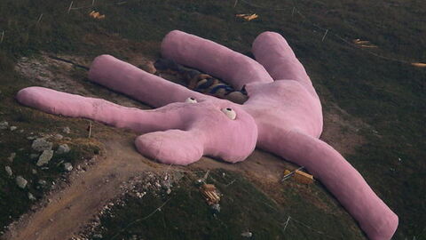 Le Géant Lapin Rose