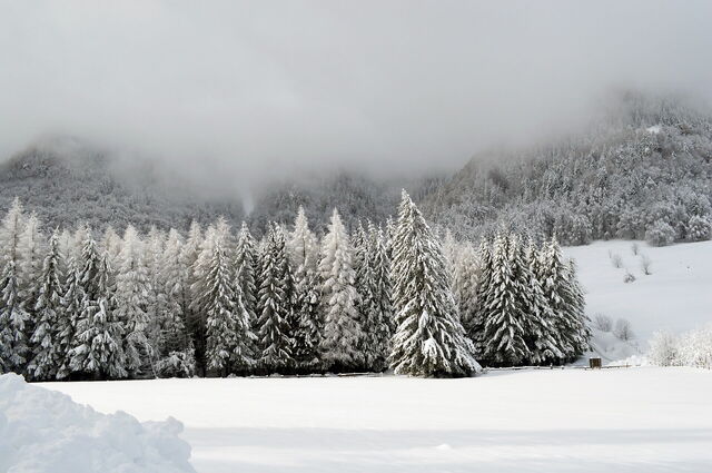 Neige dans les Alpes