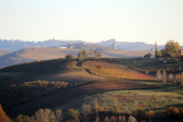 Automne dans les Langhe